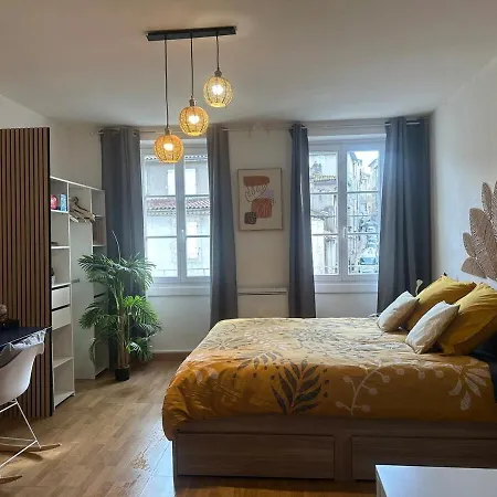 公寓 Cosy Au Coeur De La D'auch 欧什