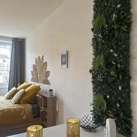 Cosy Au Coeur De La D'auch