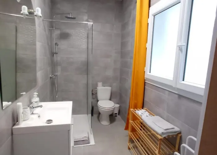 Cosy Au Coeur De La D'auch 公寓 欧什