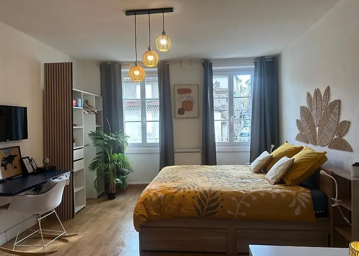 公寓 Cosy Au Coeur De La D'auch 欧什